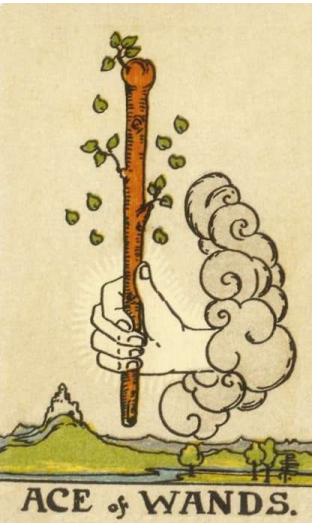 01. ACE of WANDS 1